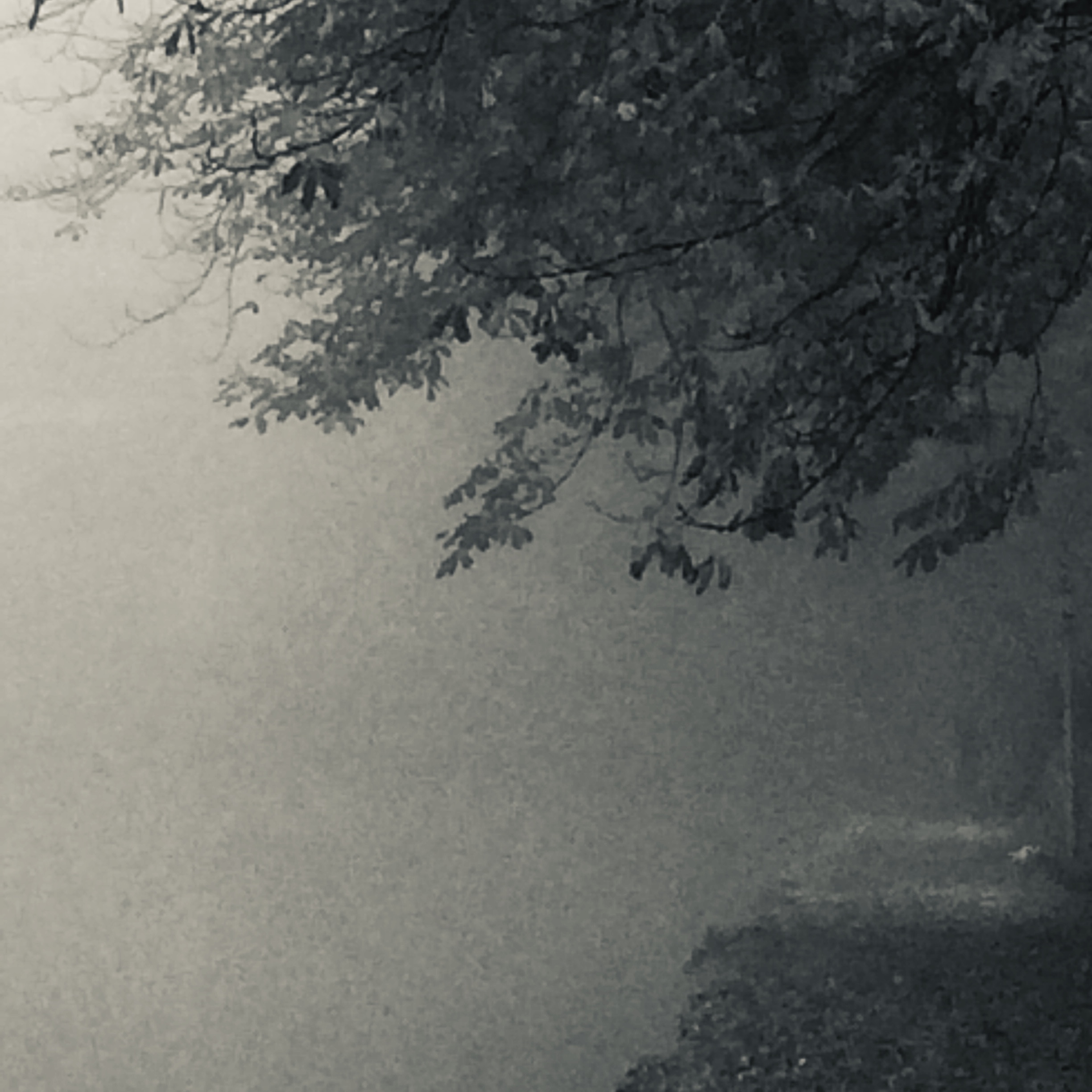 Quiet morning